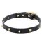 Posh Thin Leather Collar "Golden Pirate"