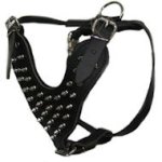 Leather Spiked Dog Harness- Deluxe custom Leather Harness