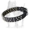 Black Leather Spiked dog Collar for Pitbull