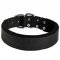 1.5 inch Wide Padded Leather Dog Collar for Pitbull Training