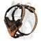 Awesome Leather Dog Harness With Exclusive Handmade Painting