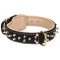 New Fashioned Leather Pitbull Collar with Goldish Rows of Spikes