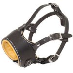 Stop Dog Barking for Pitbull with this special design muzzle