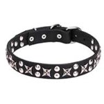 "Planets and Stars" 1 1/5 inch (30mm) Leather Pitbull Collar with Chrome Plated Decor