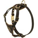 Walking Leather Dog Harness Of Fashion Design For Pitbull Puppies And Small Dog Breeds