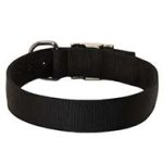 Durable Nylon Pitbul Collar -Classic Most Popular Buckle Dog Collar