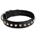 Gorgeous Wide Nylon Dog Collar with Nickel-plated Pyramids