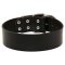 Pitbull 2 inch Wide Leather Dog Collar for Every Day