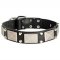 Precious Pitbull Collar - 2 Pyramids + Plate Adorned Leather Collar