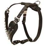 Order Now Spiked Dog Harness Specially Designed by our Manufacturers