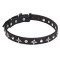 "Pleiades" 1 inch (25 mm) Leather Pitbull Collar with Shiny Stars and Studs