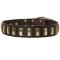 Fashion Leather Dog Collar with Brass Plates