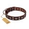 "Pirate Treasure" FDT Artisan Exciting Brown Leather Pitbull Collar with Studs