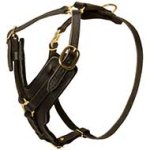 Exclusive Luxury Handcrafted Padded Leather Dog Harness