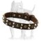 Custom Studded Leather Dog Collar for Pitbull
