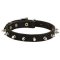 Spiked Dog Collar - Fascinating Leather Dog Collar for Pitbulls