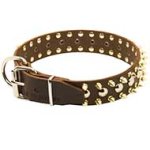Gorgeous Spiked and Studded Leather Pitbull Collar