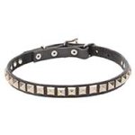 'King Studs' Leather Pitbull Collar with Pyramid-like Studs