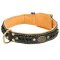 Top Choice Braided Dog Collar with Nappa Padding