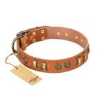 "Natural Beauty" FDT Artisan Tan Leather Pitbull Collar with Old Bronze-like Circles and Plates
