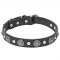 "Shiny Charm" Leather Dog Collar with Engraved Conchos and Small Half Balls