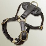 Genuine Leather Dog Harness for Pitbull