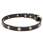 'Stamped Studs' Narrow Leather Dog Collar with Brass Adornment