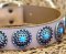 High Quality Dog Collars with blue stones Pitbull