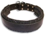 Wide Stitched Leather Dog Collar-D Ring in Front Pitbull