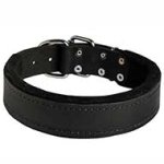 Multipurpose Felt Padded Leather Pitbull Collar