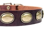 High Quality Leather Dog Collar for Pitbull