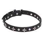 "Pleiades" 1 inch (25 mm) Leather Pitbull Collar with Shiny Stars and Studs
