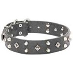 'Pyramid of Cheops' Leather Pitbull Collar with Nickel-plated Decoration