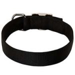 Wide Nylon Dog Collar for Pitbull-1.5 inch wide