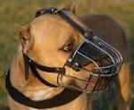 Wire Basket Dog Muzzles for Pitbull