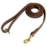 Leather Dog Leash Stitched Well-Made