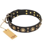 'Baroque Chic' FDT Artisan Studded Black Leather Pitbull Collar