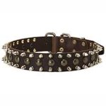 Quality Leather Pitbull Collar with Awesome Decoration