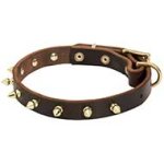 Spiked Leather Dog Collar-Luxurious Dog Collar with Handmade BRASS Spikes