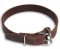 Leather Buckle Dog Collar Pitbull