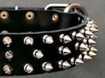 Canine Deluxe Spiked Leather Dog Collar for Pitbull
