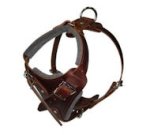 Comfort Padded Dog Harness for Pitbull