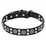 'Galactic Style' Leather Collar with Engraved Circles and Round Studs of Chrome Plated Steel