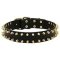 "Unveiled Luxury" Spiked Leather Pitbull Collar