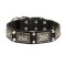 Gorgeous War Dog Leather Pitbull Collar with Old Nickel Plates and Cones