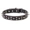 "Star-studded Sky" Pitbull Leather Collar with Chrome Plated Decorations