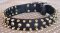 Three Rows with brass Leather Spikes and Studded Dog Collar S57