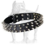 Top Quality Spiked Leather Collar with Nickel-plated Fittings