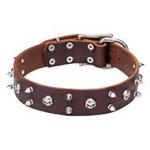 "Blackbeard" Leather Collar Decorated with Skulls and Spikes