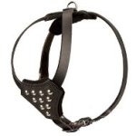 Stylish Leather Puppy Harness for Comfortable Walks